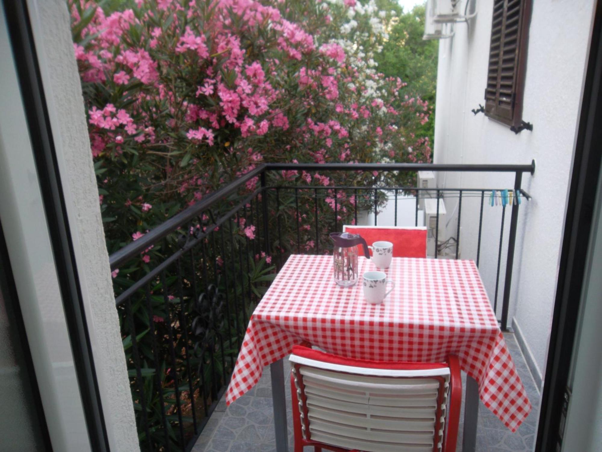 Guest House 4M Petrovac Номер фото