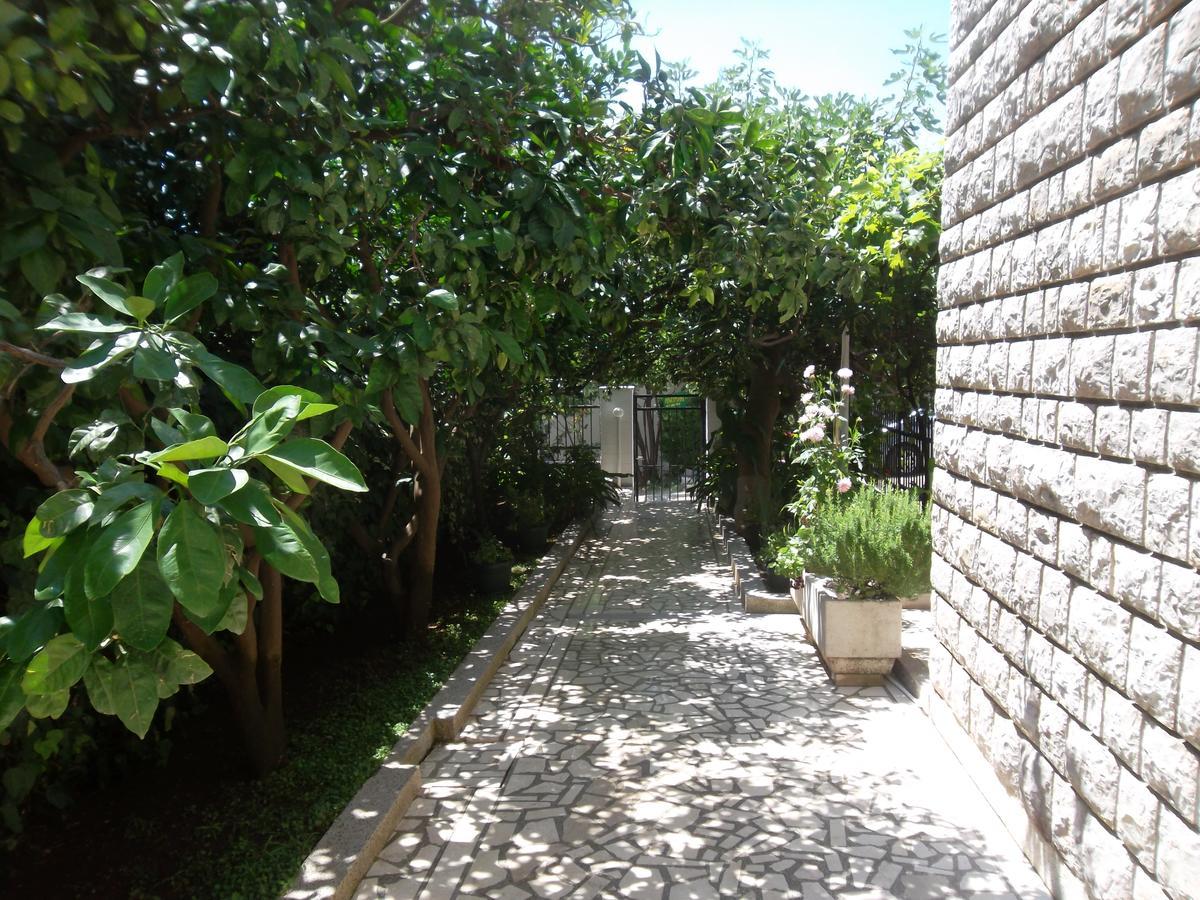 Guest House 4M Petrovac Екстер'єр фото