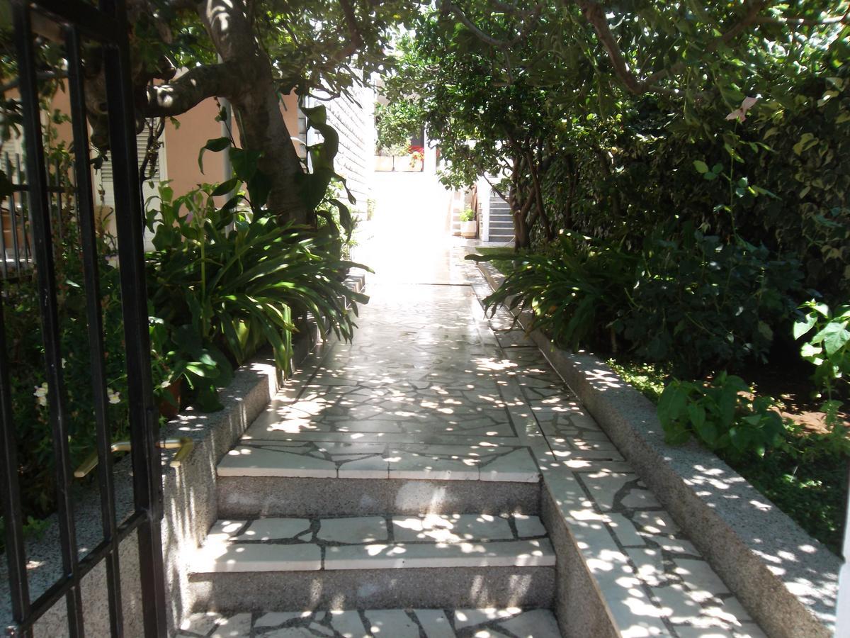 Guest House 4M Petrovac Екстер'єр фото